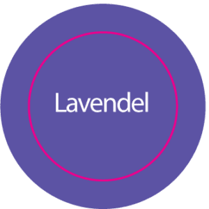 Lavendel 02